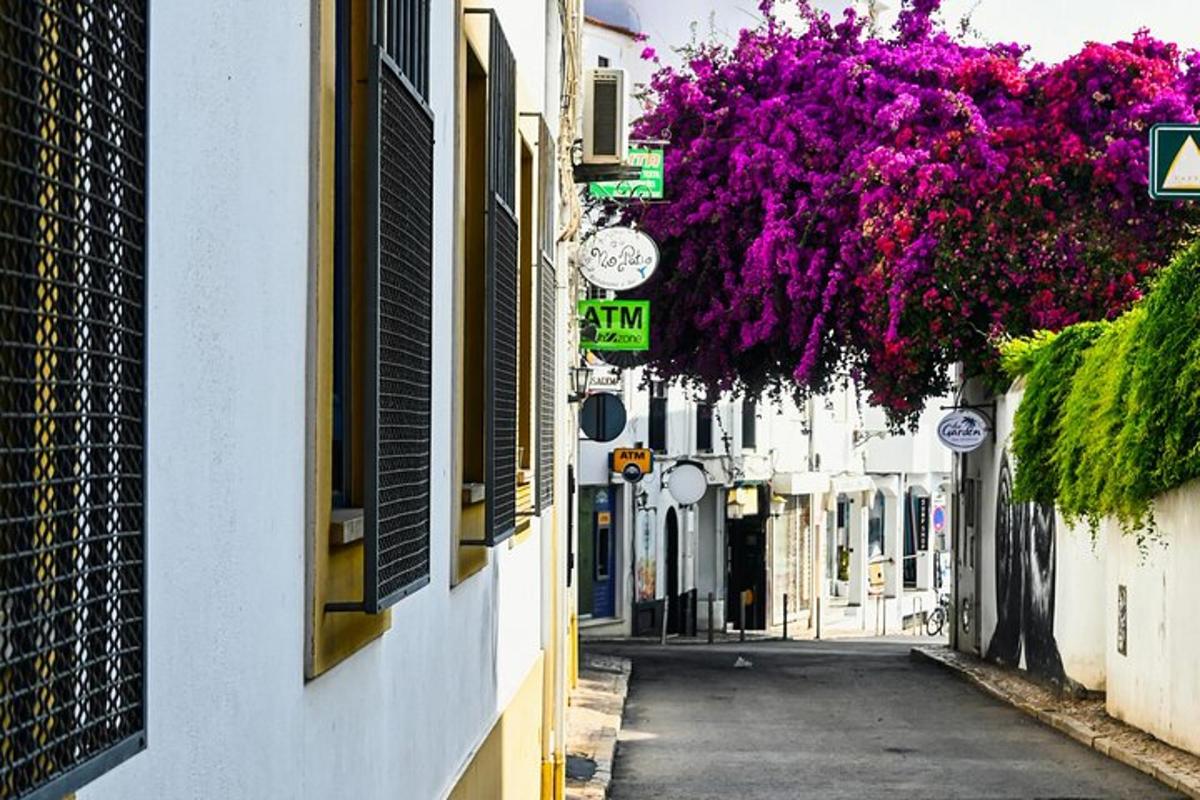 un vicolo con fiori viola appesi agli edifici