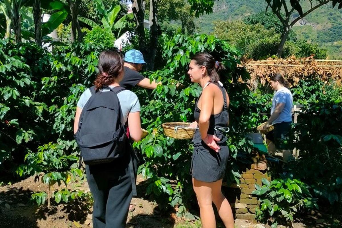 a group of people standing in a garden