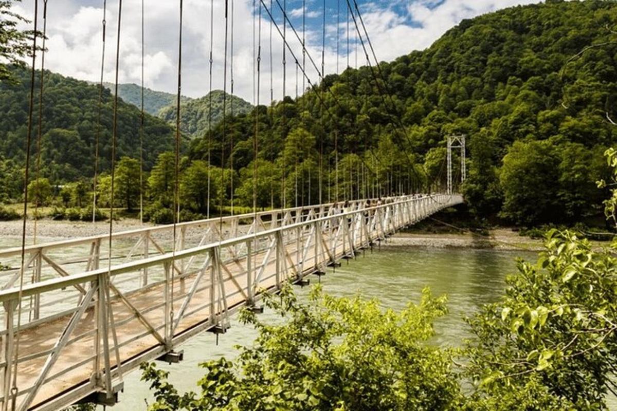 a bridge that is over a river with trees