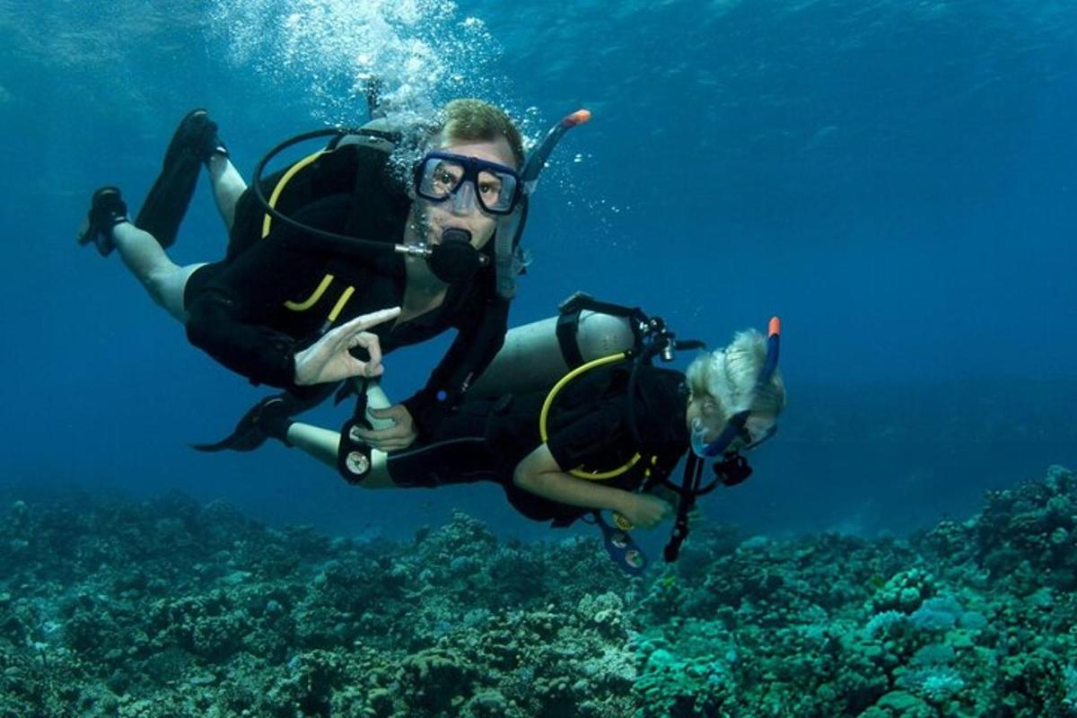 Muž v potápěčském obleku plave v oceánu
