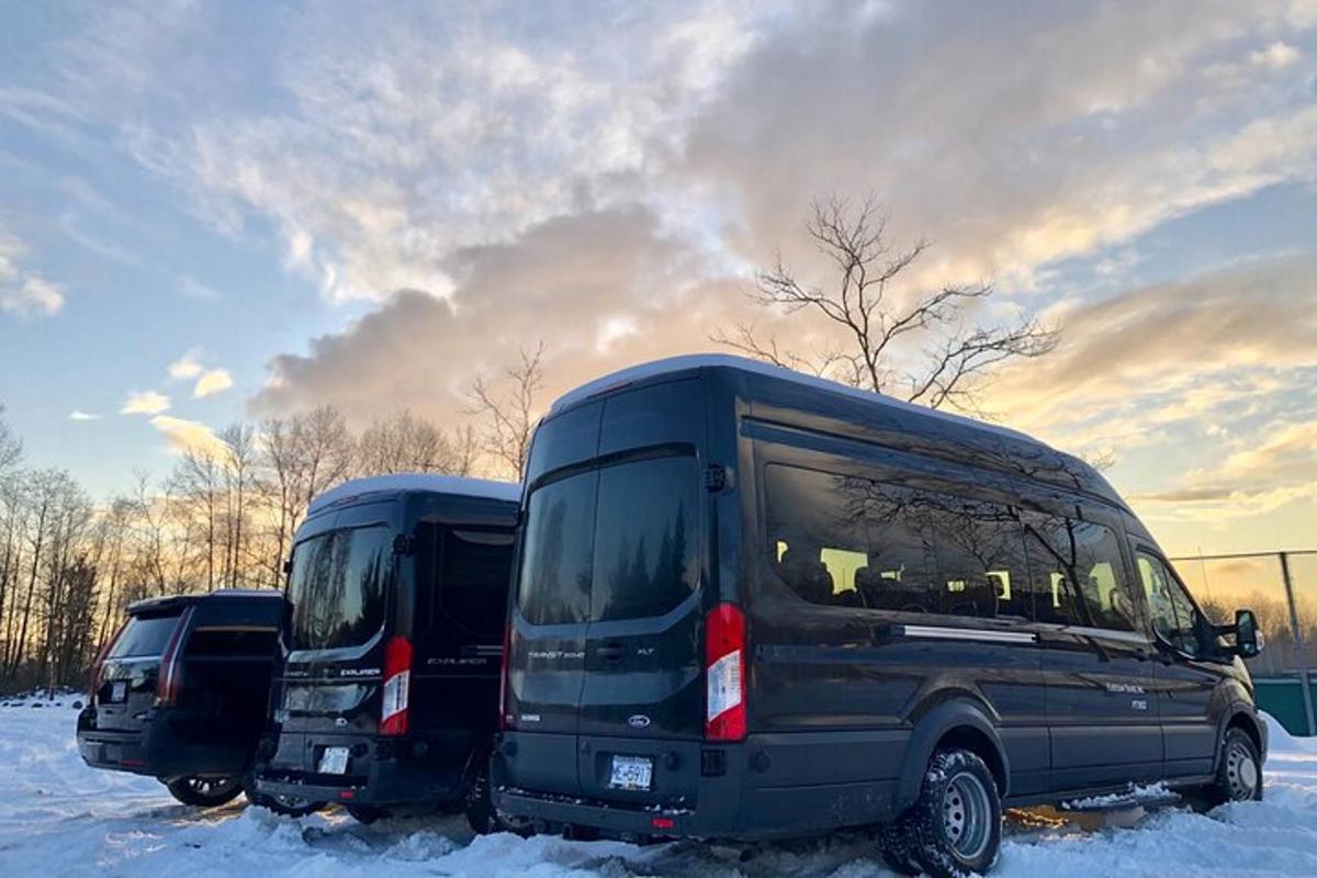 zwei schwarze Busse im Schnee geparkt
