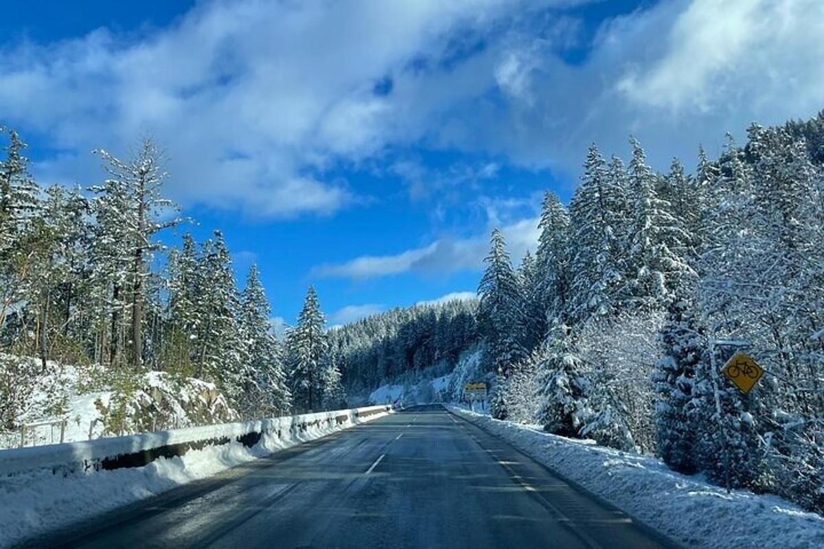 eine leere Straße mit schneebedeckten Bäumen an den Seiten