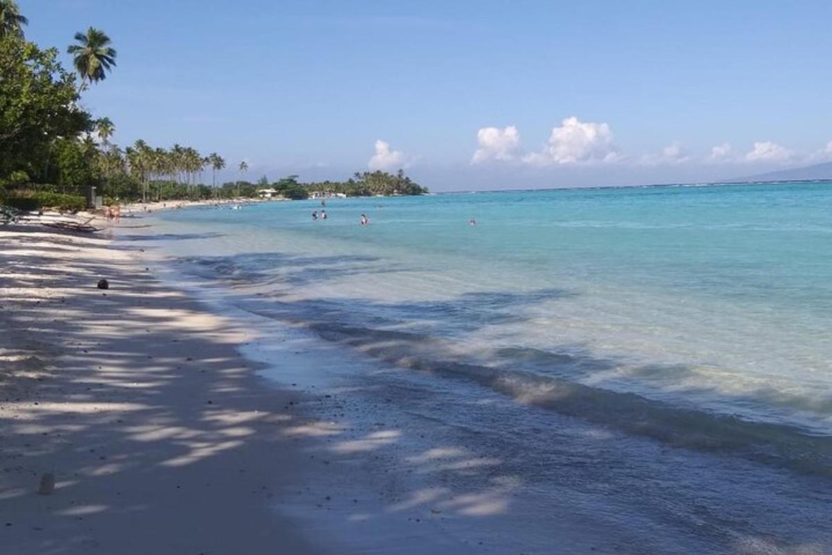 人们在海里游泳的海滩