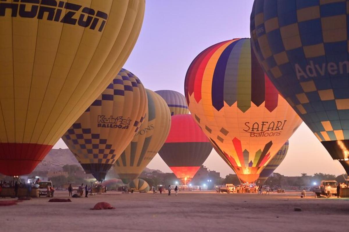 Un grupo de coloridos globos aerostáticos en un campo.