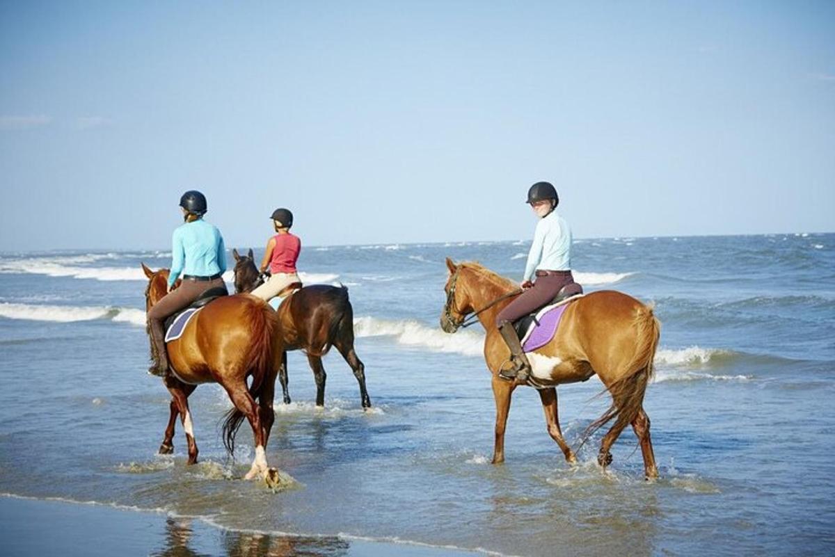 grupa ludzi jadących konno po plaży