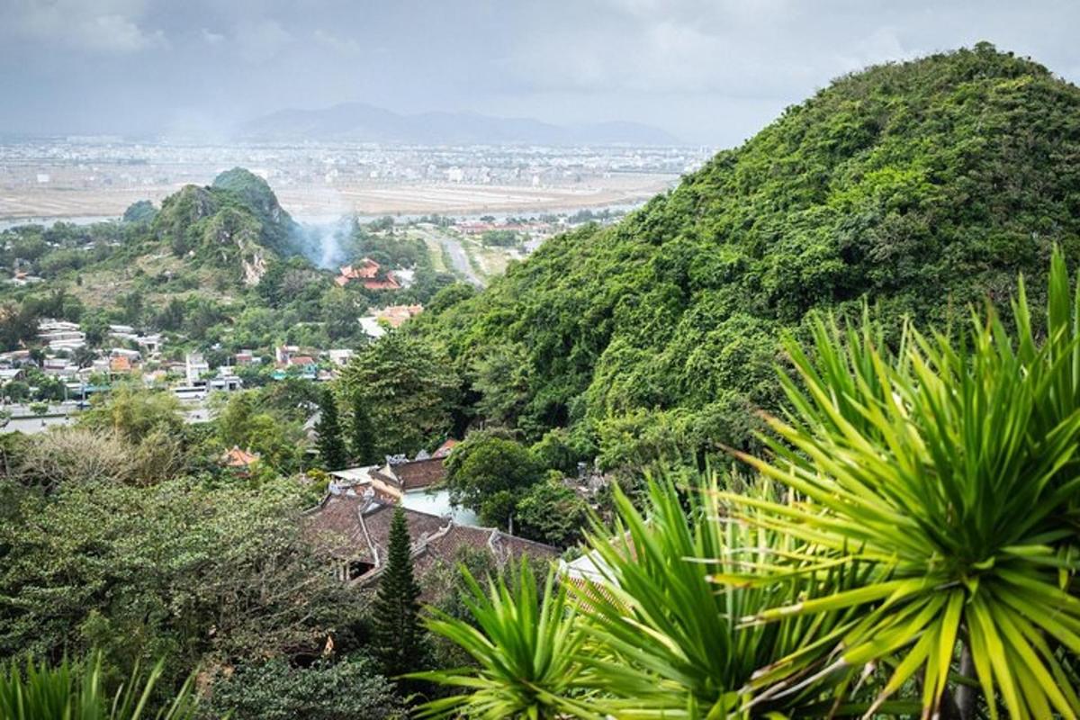 uma vista de uma montanha com árvores e uma cidade