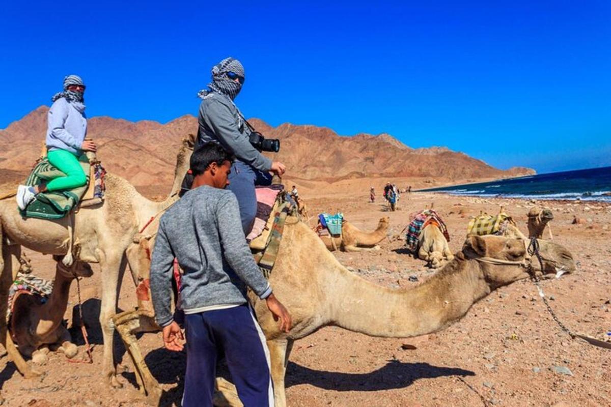 to personer som rir på ryggen av kameler på en strand