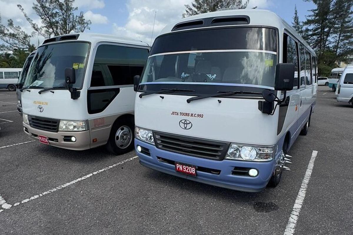 dva autobusy zaparkované vedle sebe na parkovišti