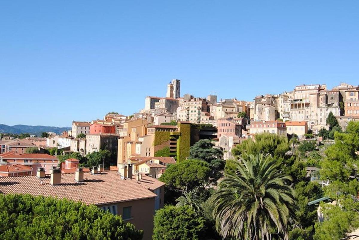 Una vista de una ciudad con edificios y palmeras.