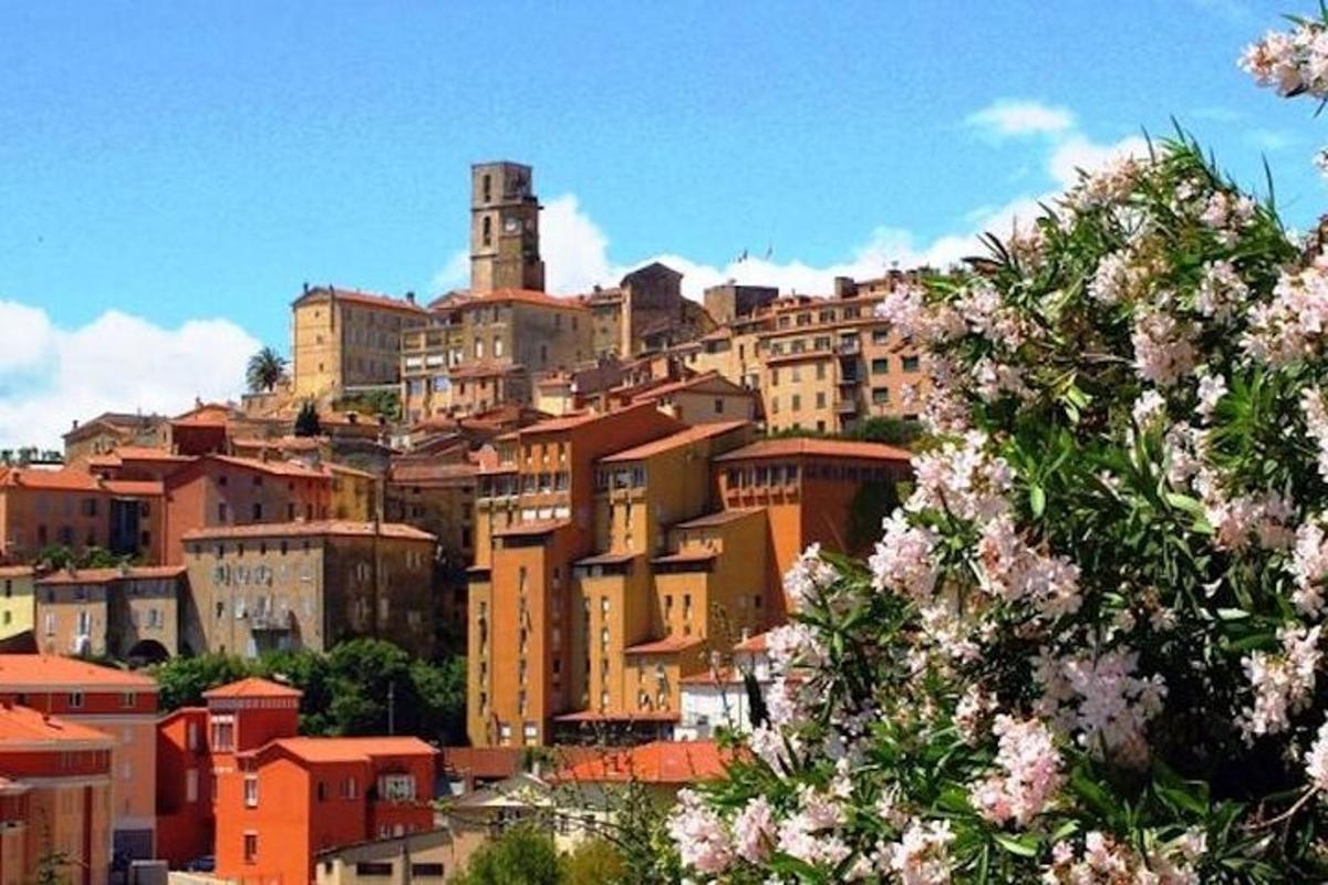 un gruppo di edifici su una collina con fiori rosa