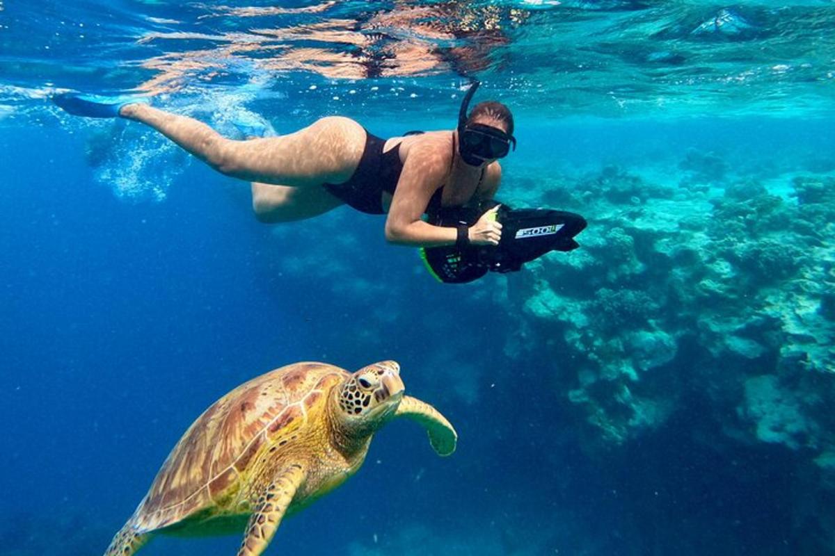 a man swimming in the water next to a turtle