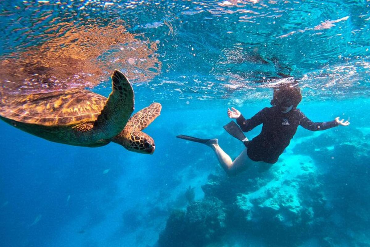 uma menina e uma tartaruga marinha verde na água