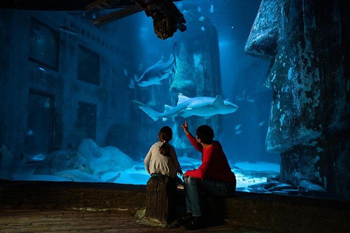 Attraction picture 1