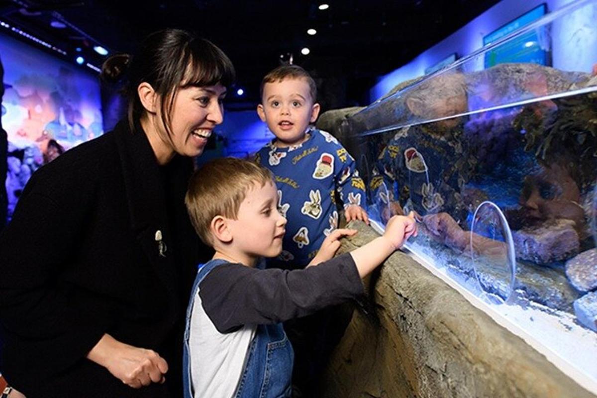Attraction picture 6