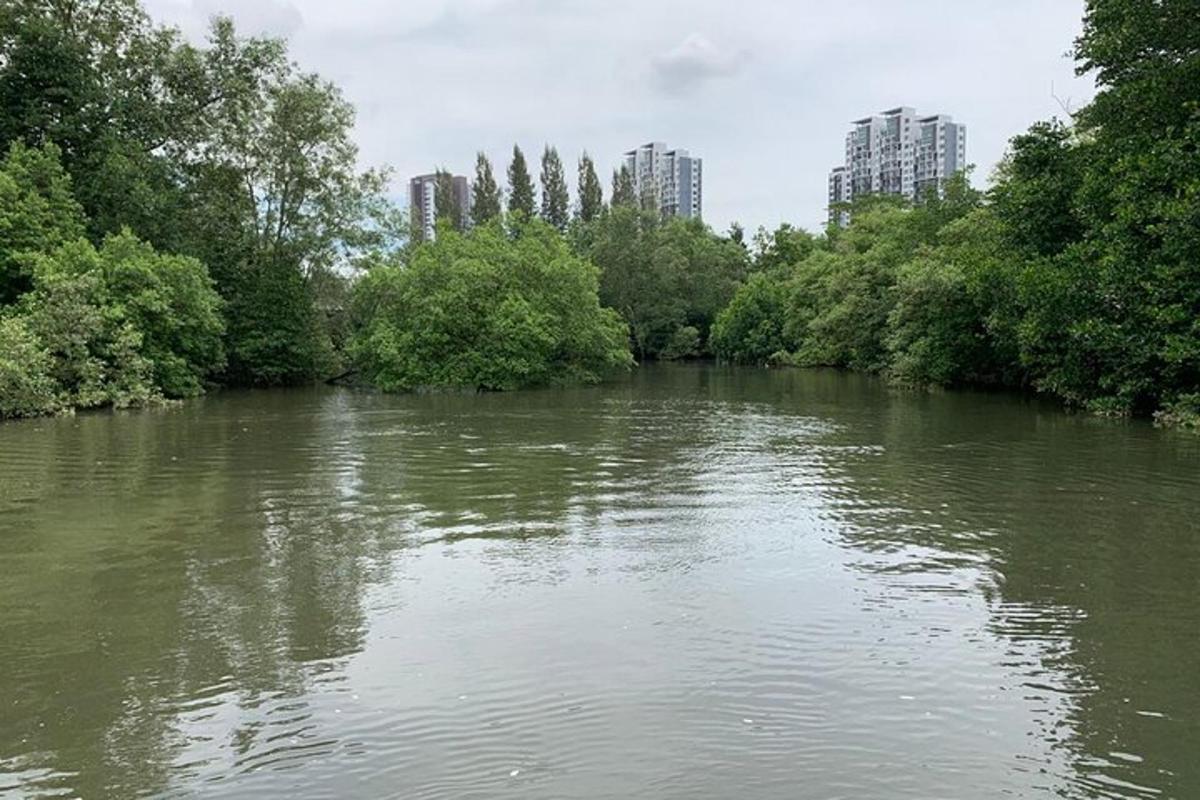 a river with trees and buildings in the background