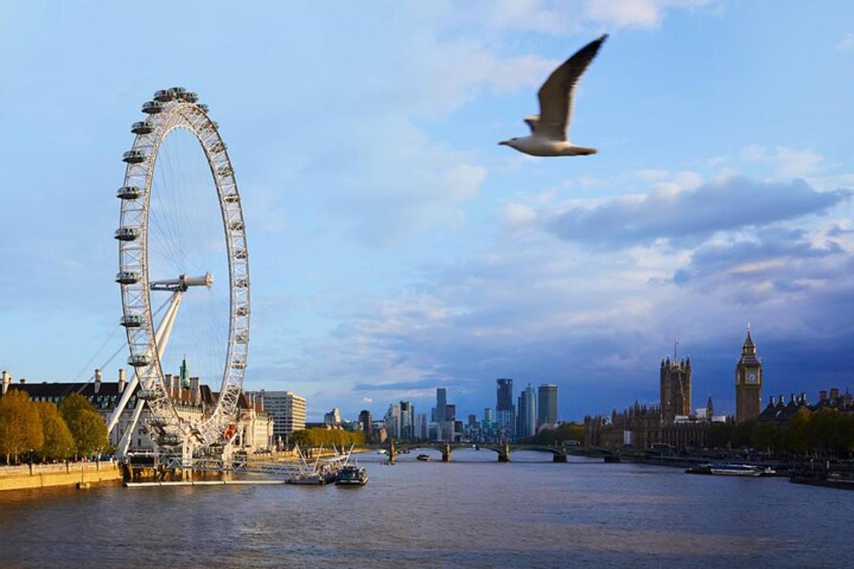 a bird flying over a river with a ferris wheel