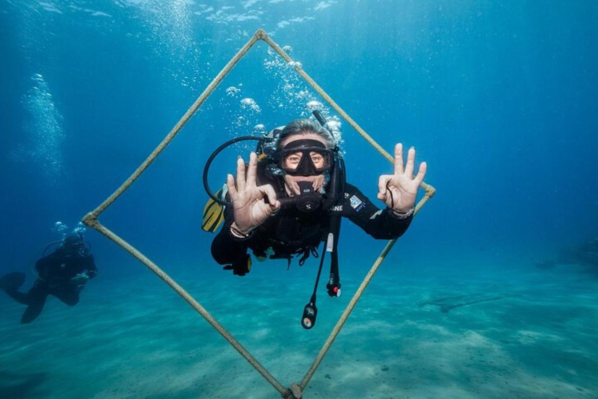 una persona è in acqua dietro un retino da sub