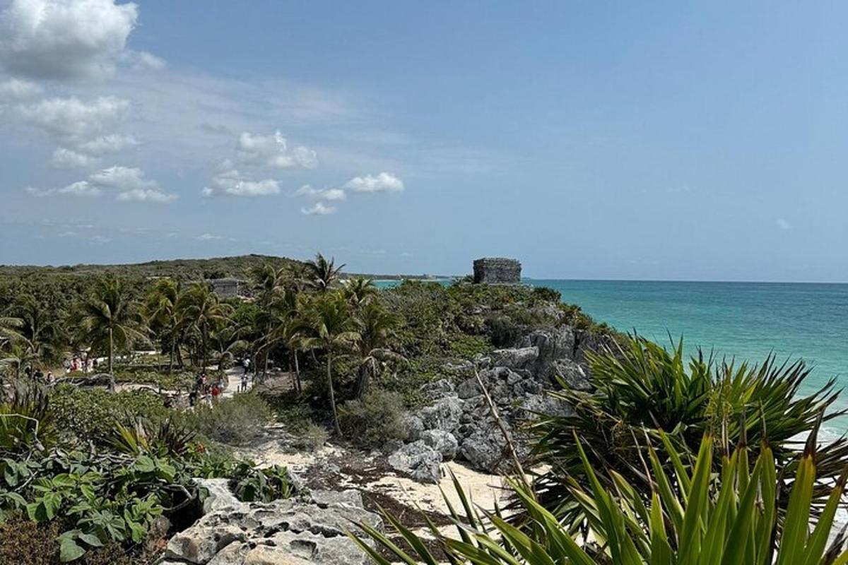 una spiaggia con palme e l'oceano