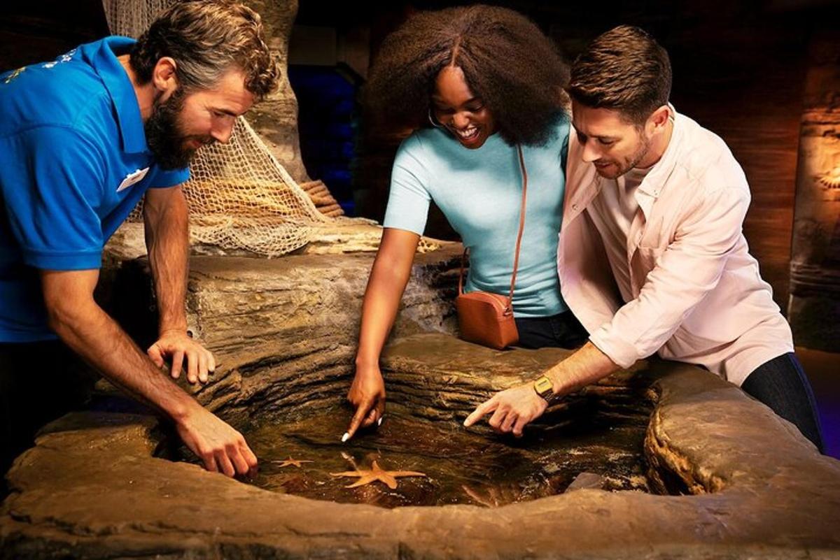 three people looking at a star in the water