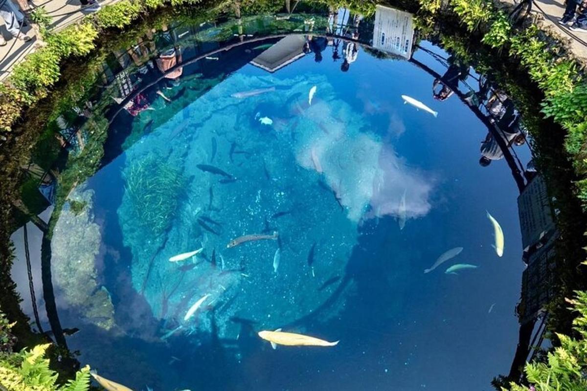 un acquario sottomarino con pesci nell'acqua