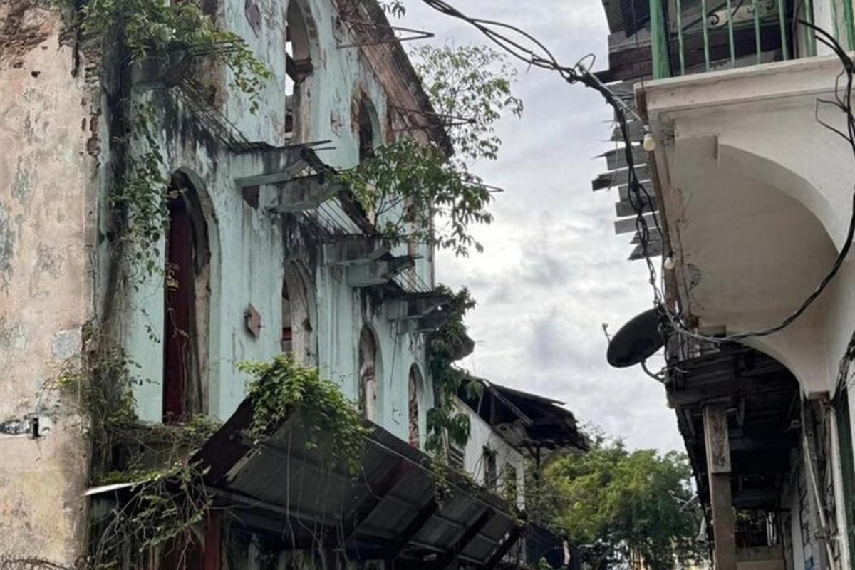 un edifici antic amb plantes al costat