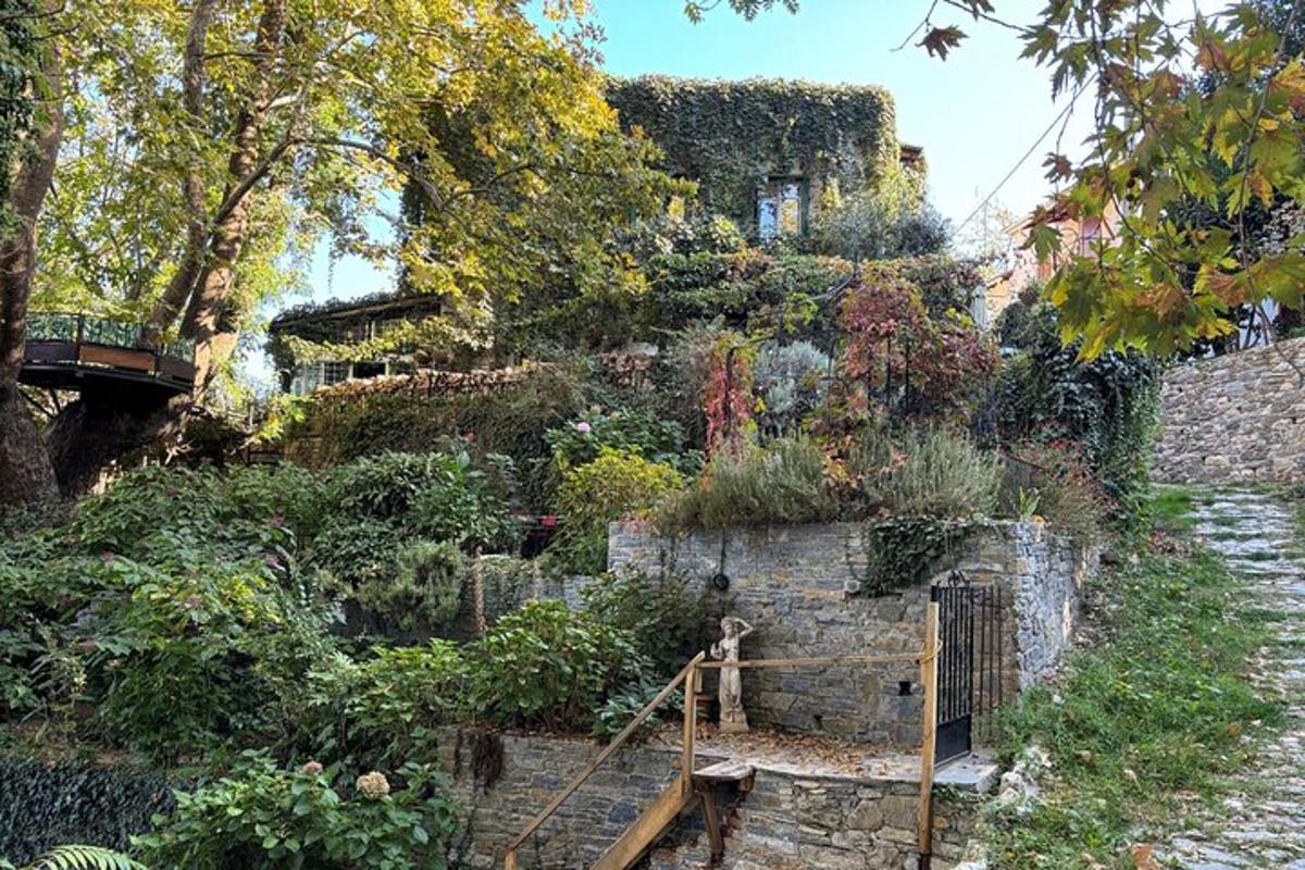 a garden with plants on the side of a building