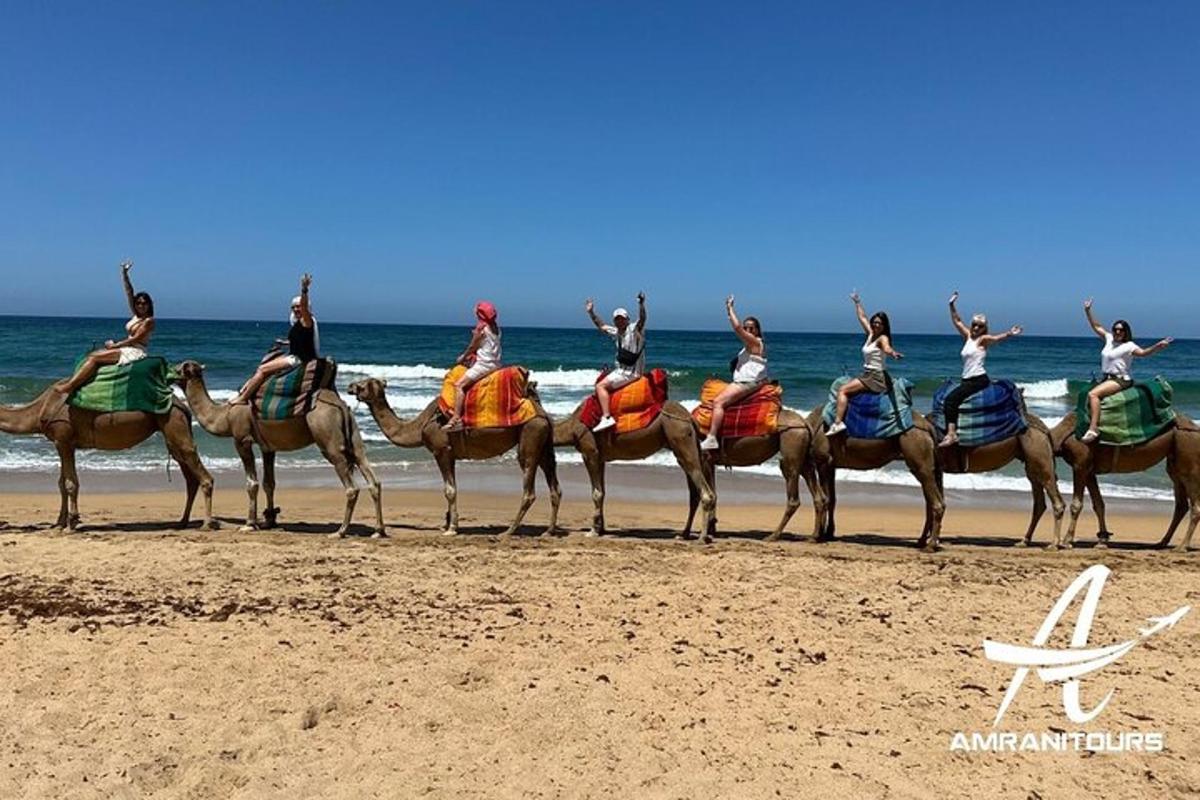 a group of people riding camels on the beach
