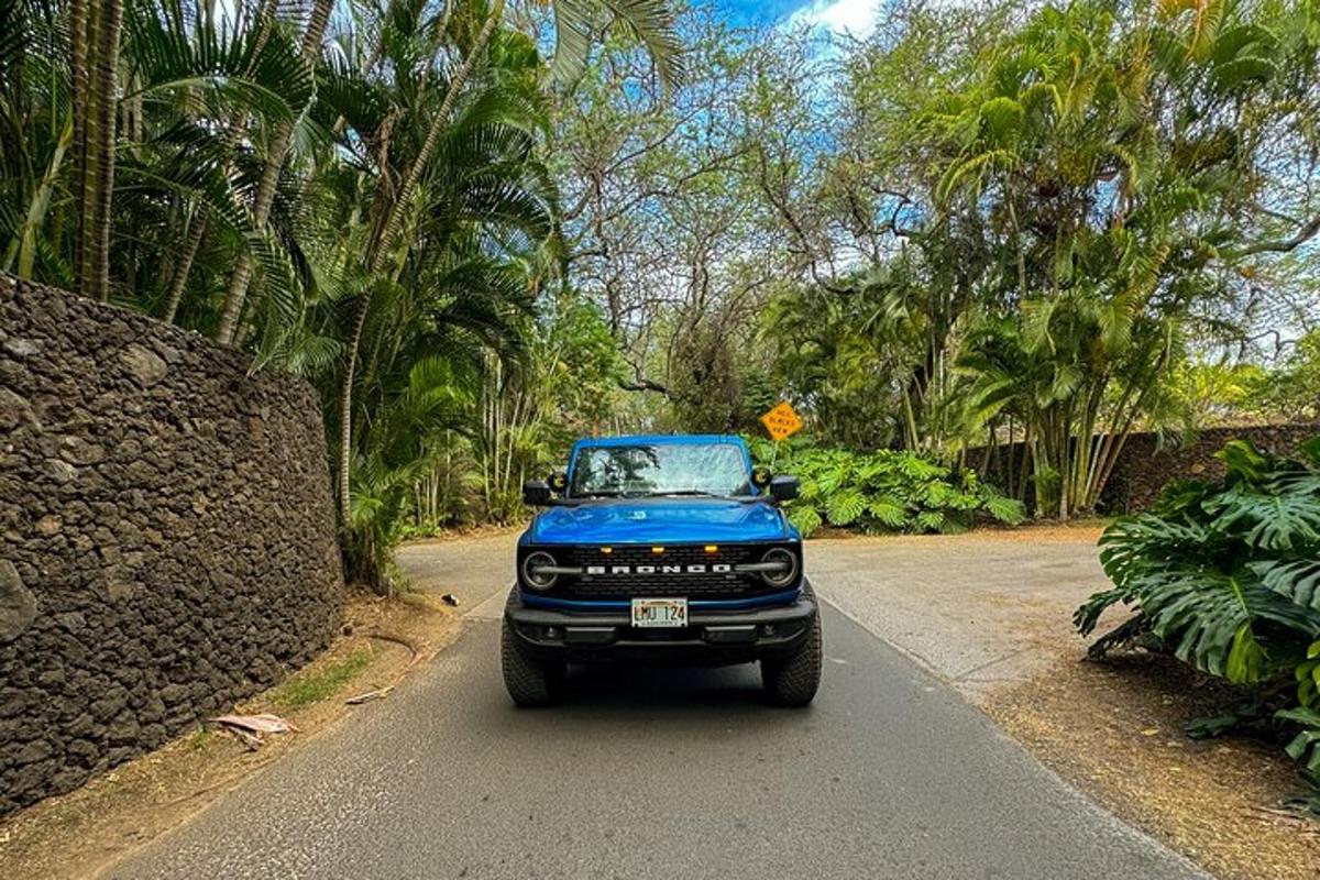 truk biru diparkir di jalan dengan pepohonan