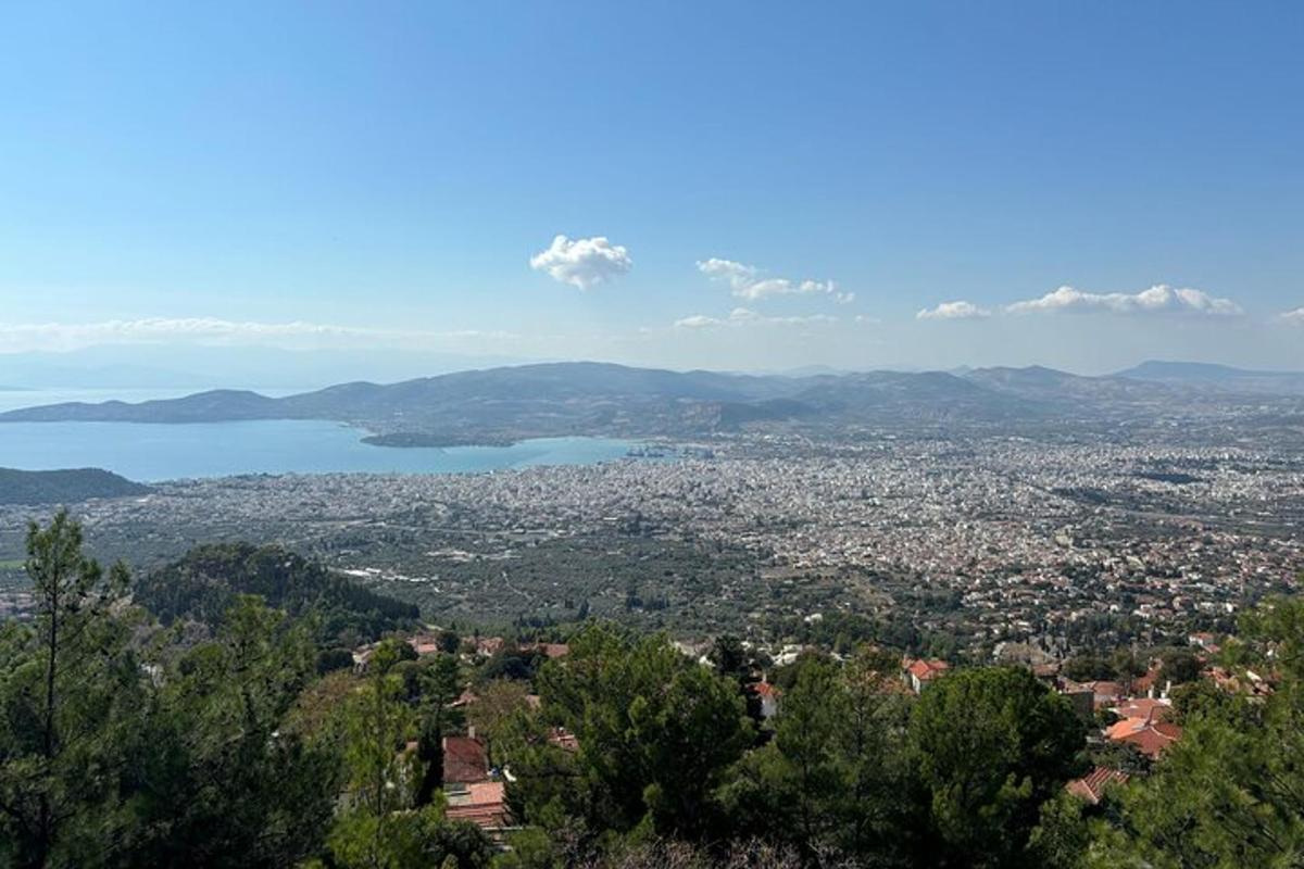 a view of a city and a lake from a hill