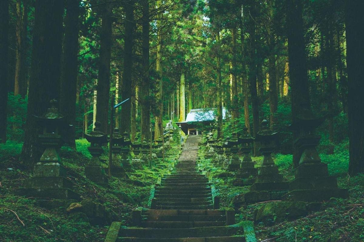 a path in the middle of a forest with trees