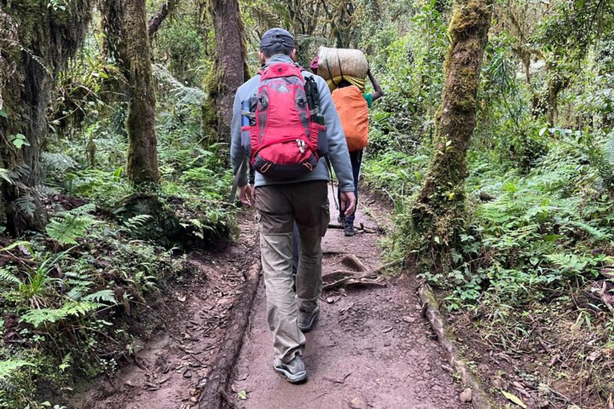 two people walking on a trail in the woods