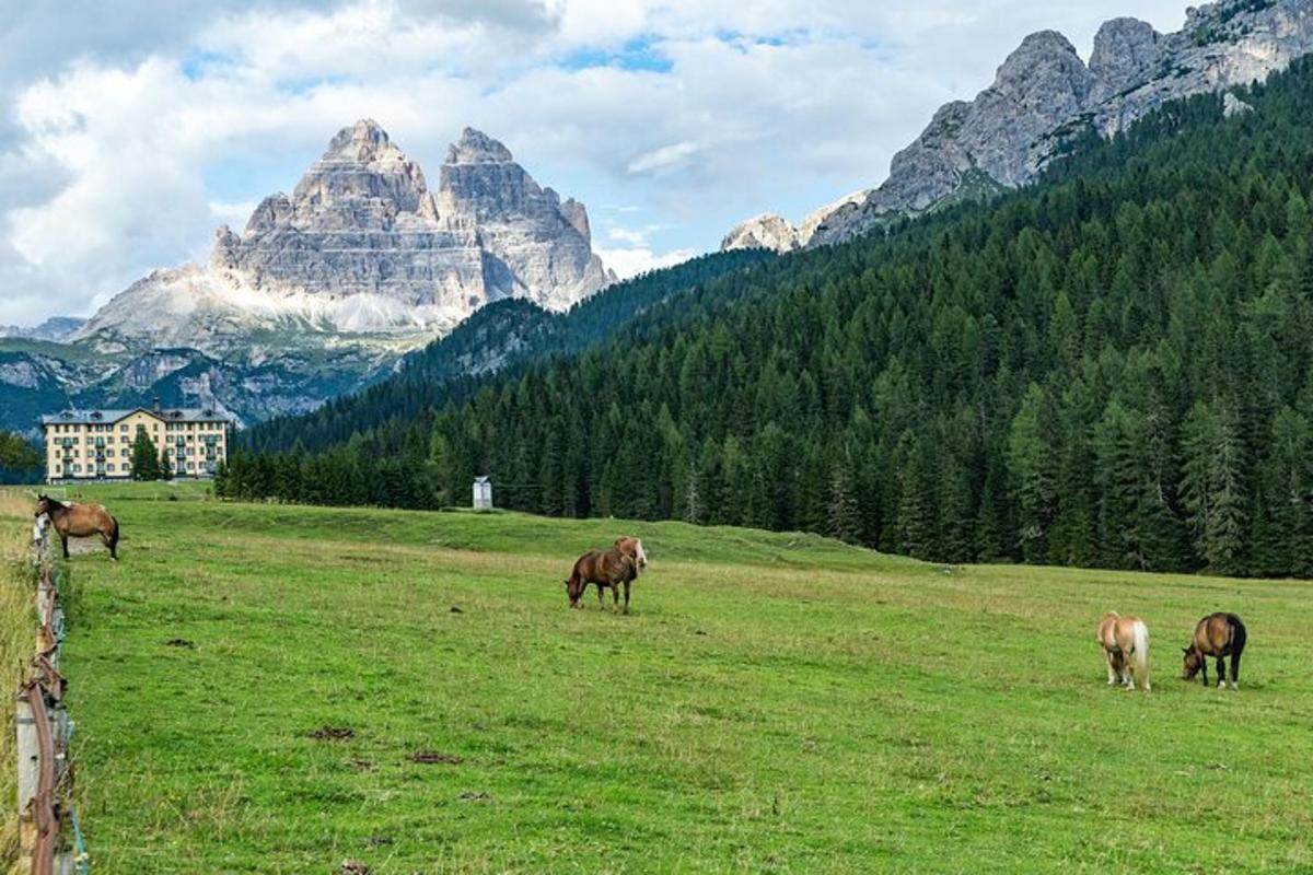 Foto dell’attrazione numero 5