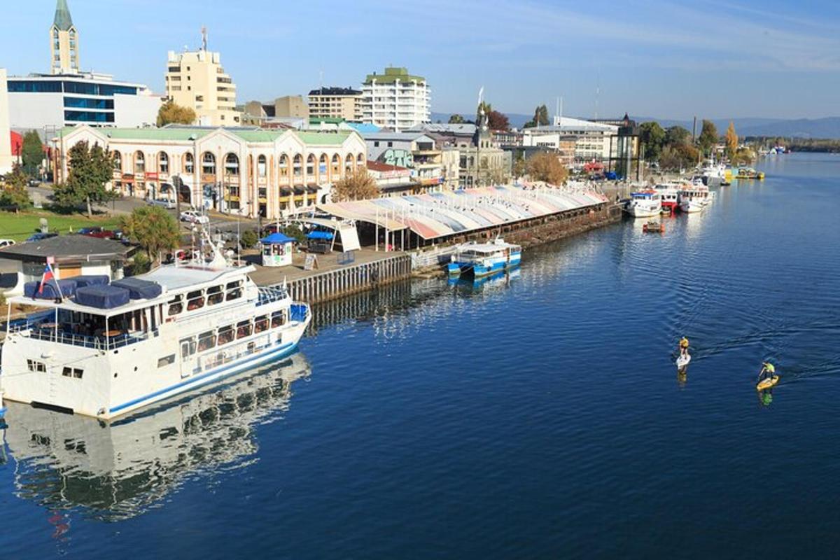 a group of boats docked at a marina