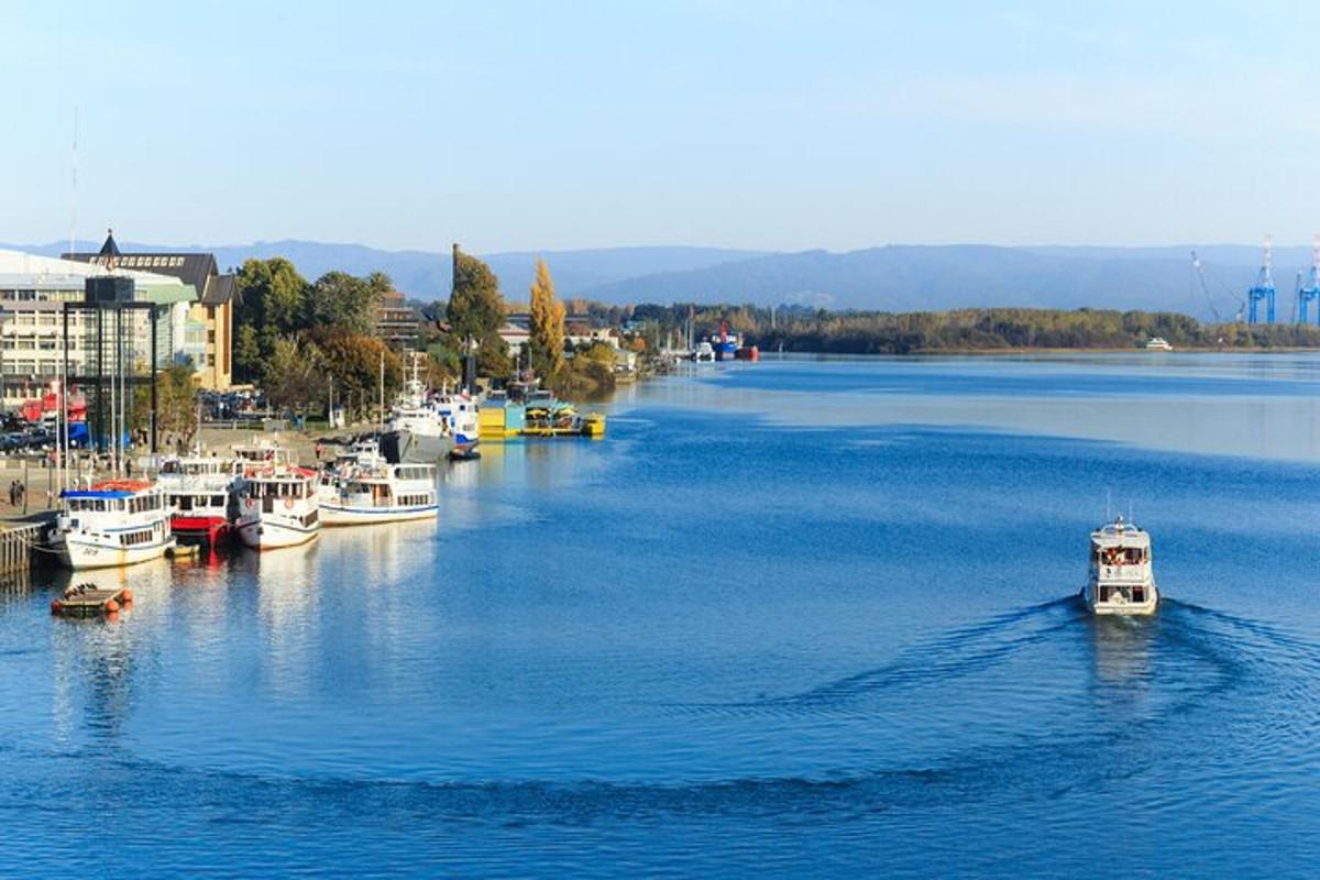 a group of boats are docked in a river