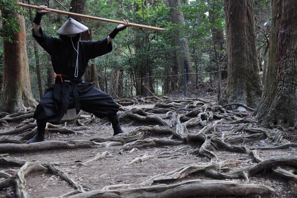 a person with a stick in a forest
