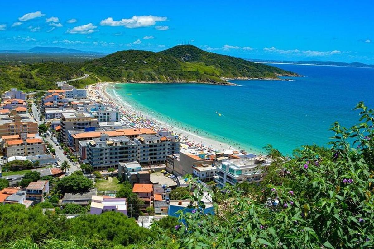 una vista aerea di una spiaggia e dell'oceano