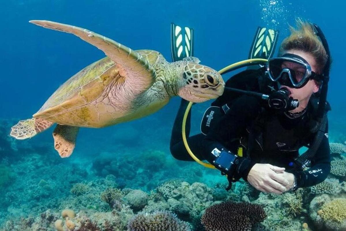 Un hombre tomando una fotografía de una tortuga bajo el agua.
