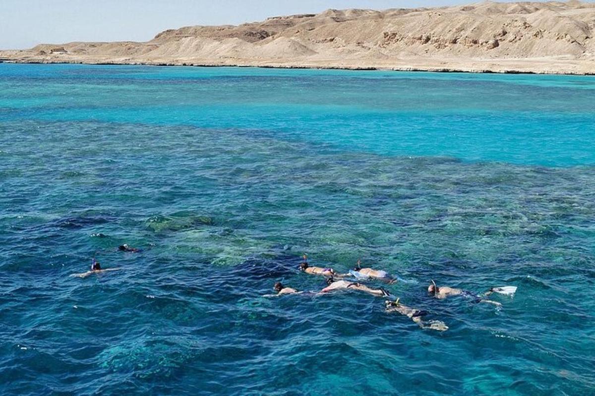 a group of people swimming in the ocean