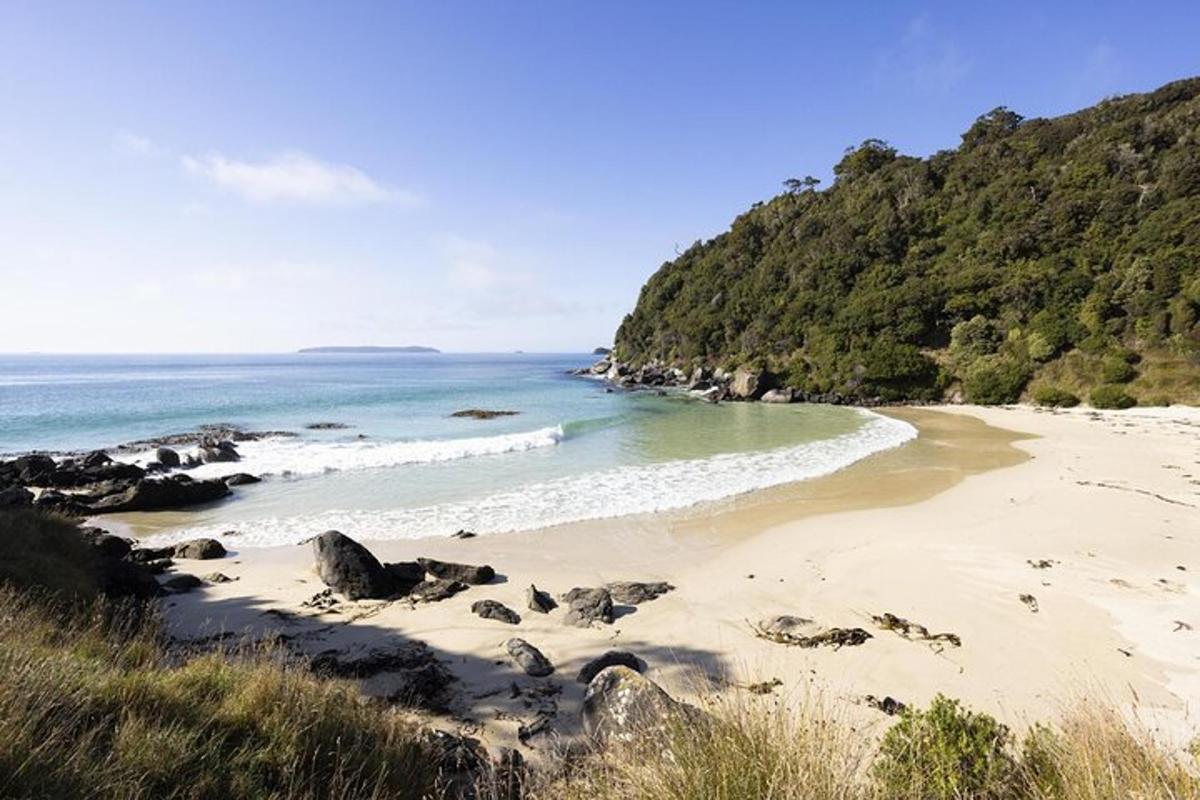 a sandy beach with rocks and the ocean