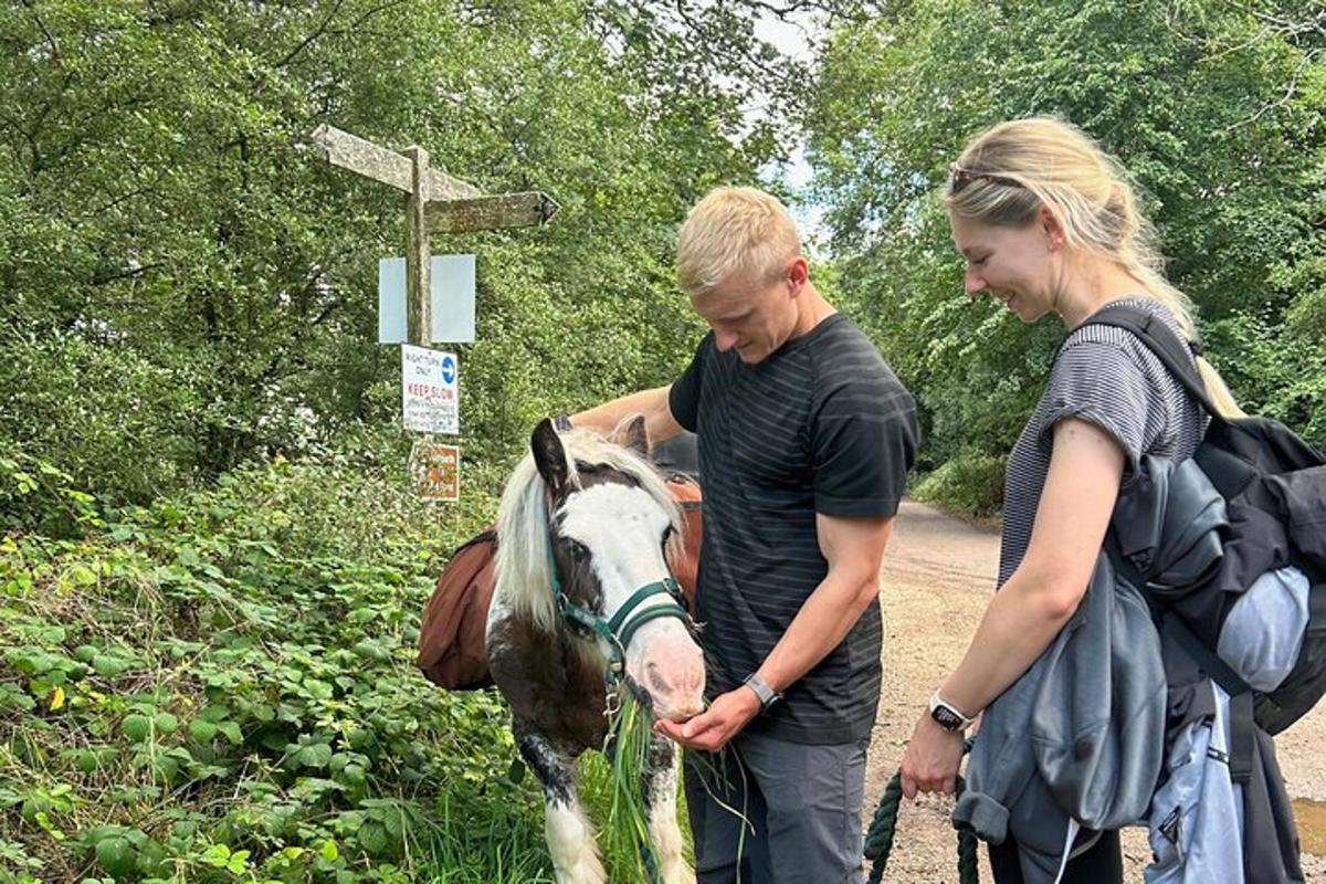 a man and woman petting a horse on a trail