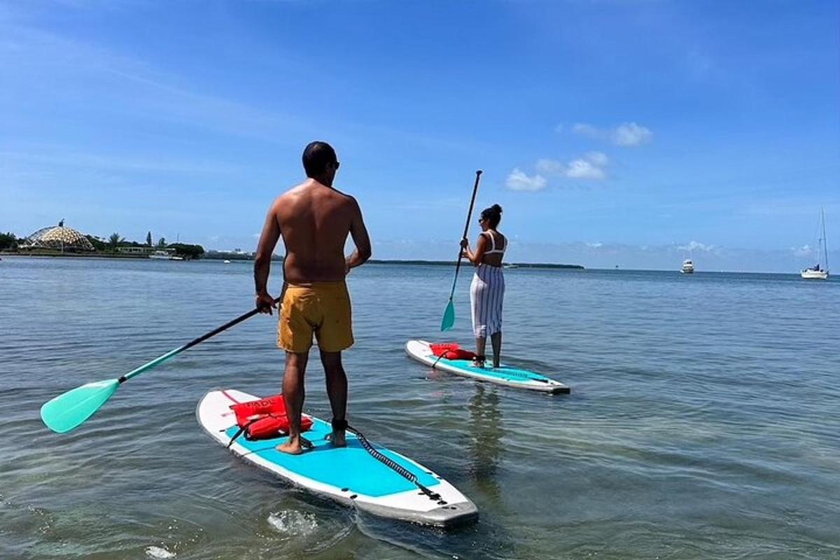 Dos personas están de pie sobre tablas de paddle surf en el agua.
