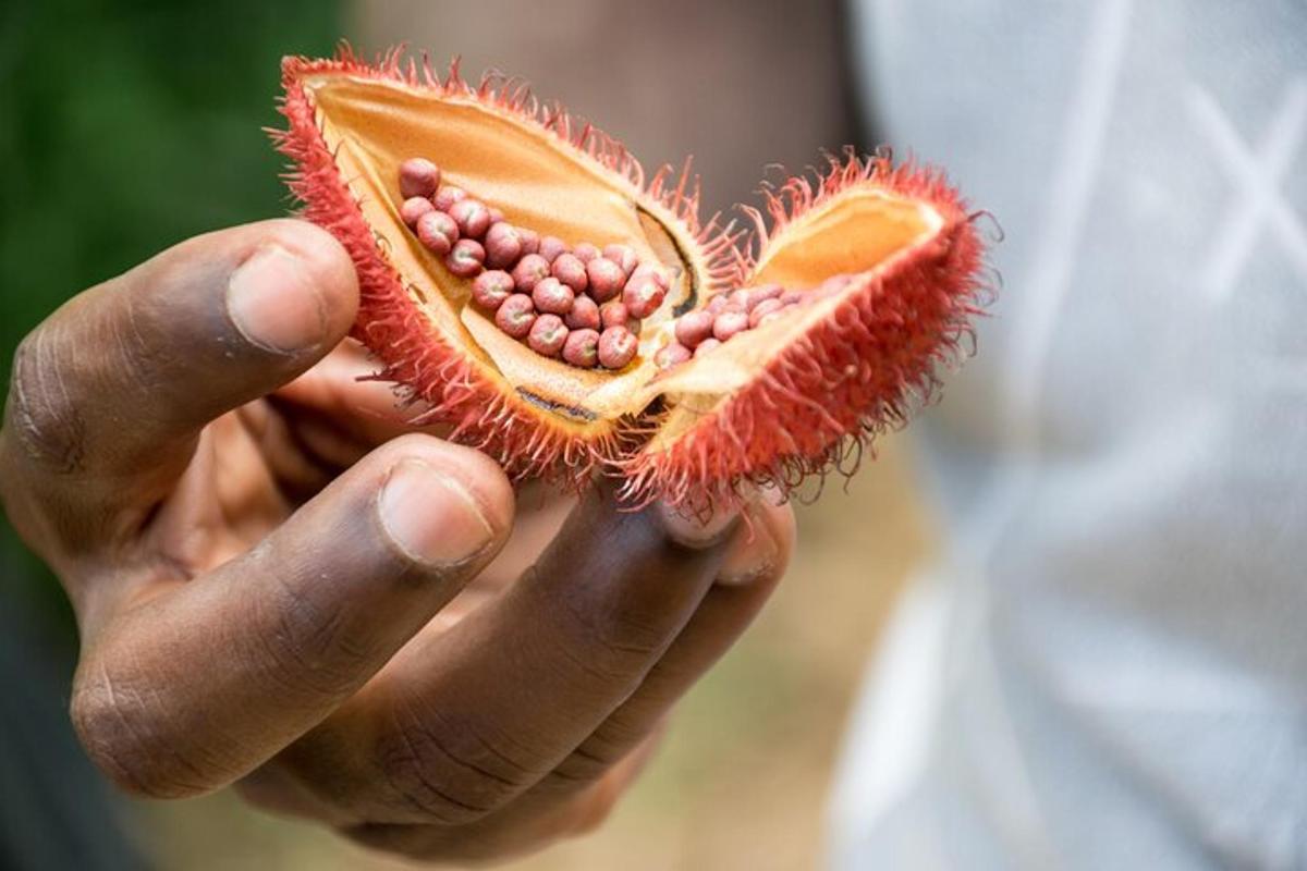 a person holding a kiwi fruit with seeds in it