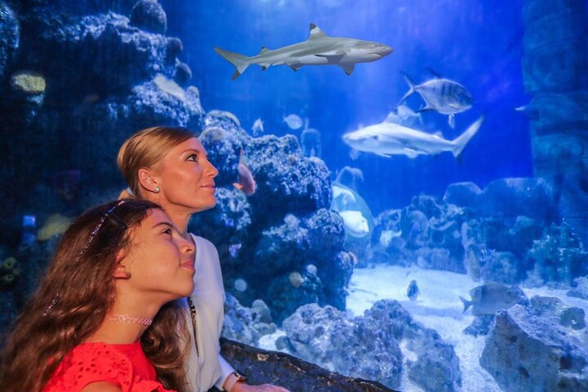 Attraction picture 1