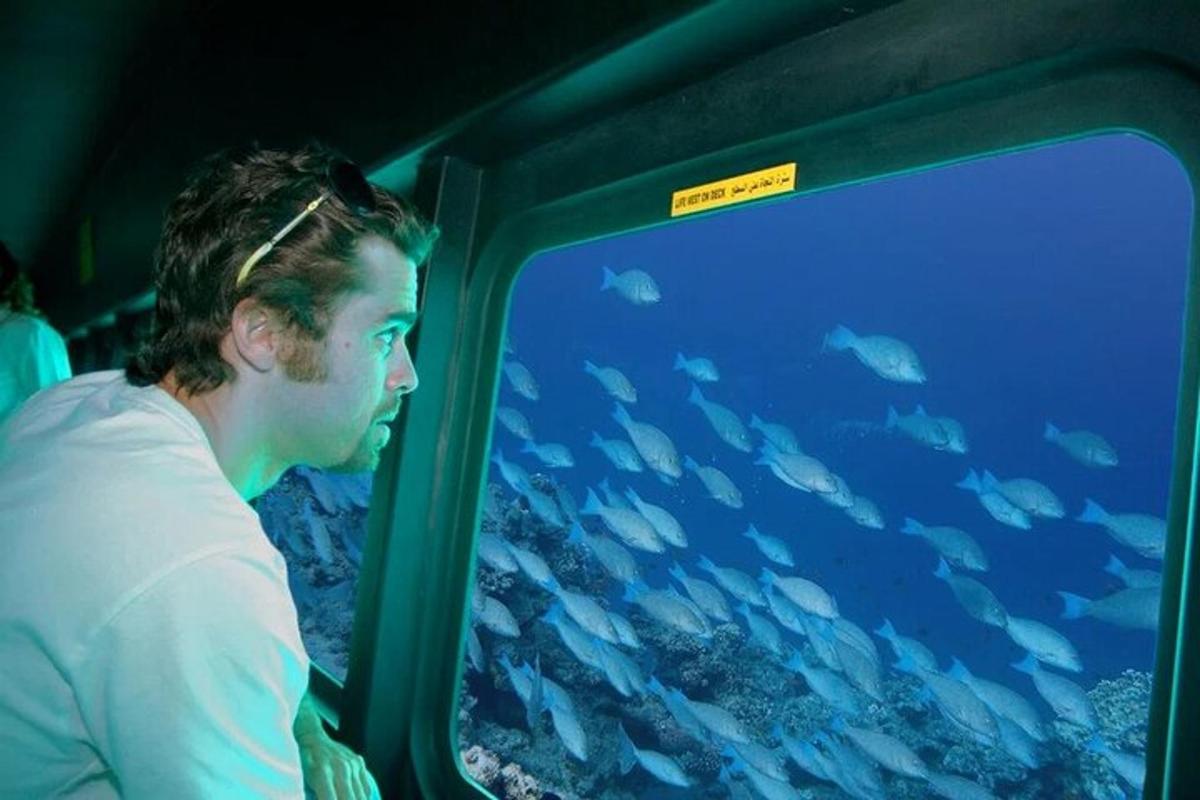 un uomo che guarda un grande acquario di pesci