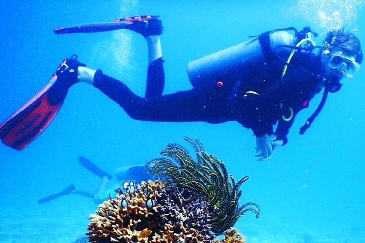 Ένα άτομο βουτάει στον ωκεανό κοντά σε έναν ύφαλο