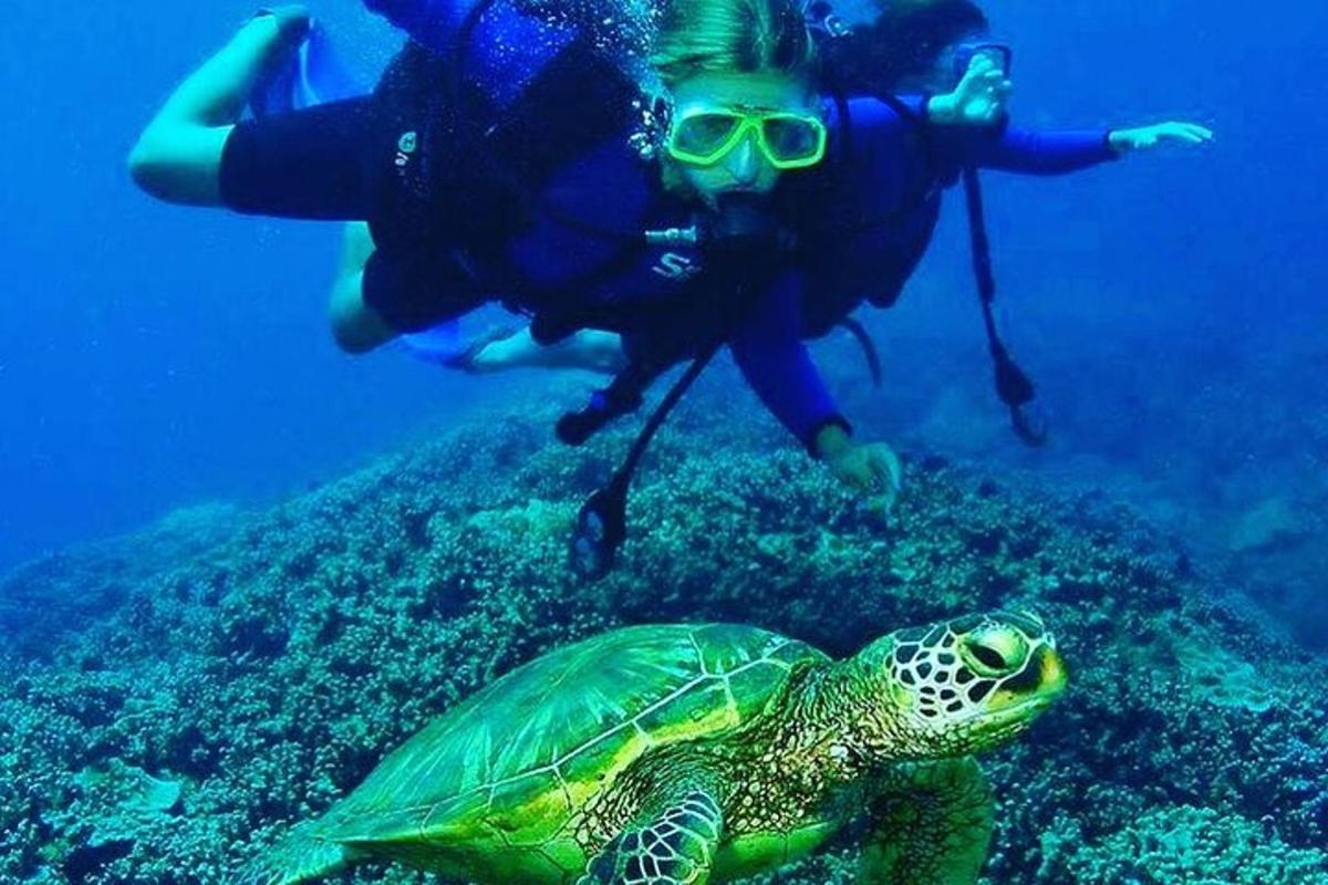 dva lidé se potápějí s přístrojem s želvou v oceánu