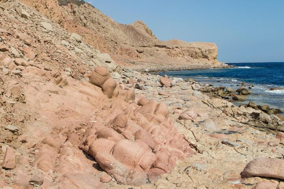 o plajă stâncoasă cu niște pietre și oceanul