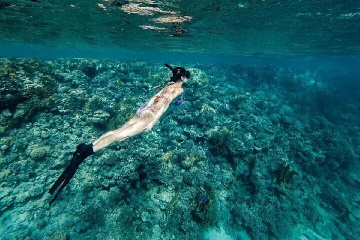 una persona nadando en el océano sobre un arrecife