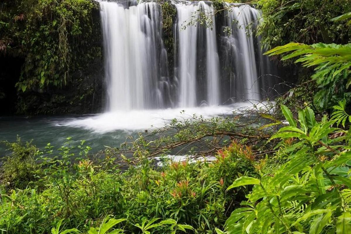 air terjun di tengah-tengah hutan
