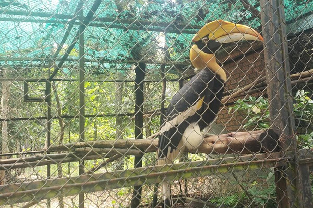 un uccello seduto su un ramo in una gabbia